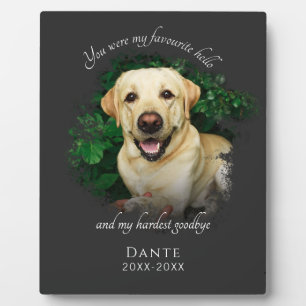 Placa Expositora Fotografía en memoria de Mascotas griegos personal