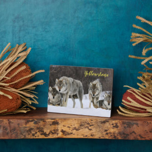 Placa Expositora Fotografía Plaque-Yellowstone Wolves Plaque
