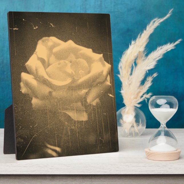 Placa Expositora fotografía rosa vintage (Lado)