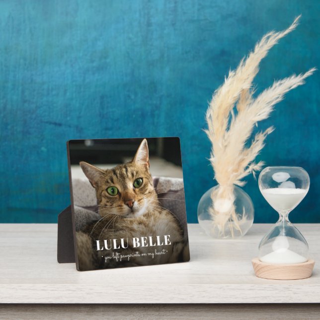 Placa Expositora Fotografías de gatos conmemorativas en mi corazón (in situ)