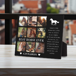Placa Expositora Fotomontaje y cita de la mejor yegua moderna
