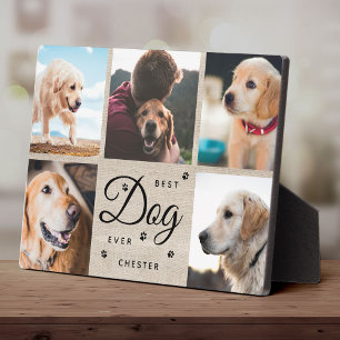 Placa Expositora Fotos Modernas de la Mejor Mascota Collage Memoria