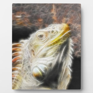 Placa Expositora Fracguana