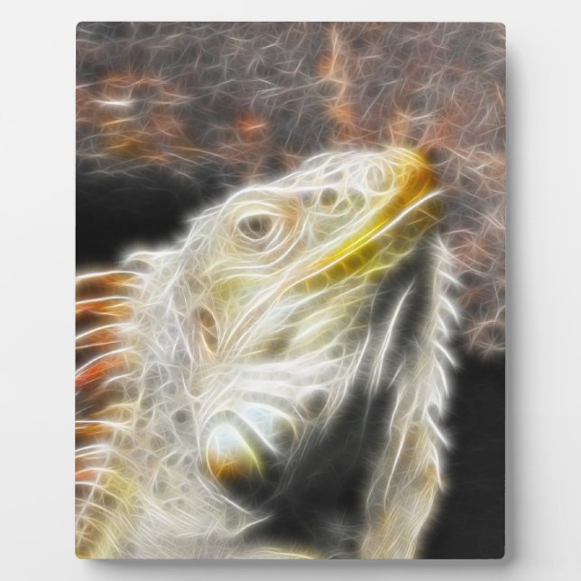 Placa Expositora Fracguana (Frente)