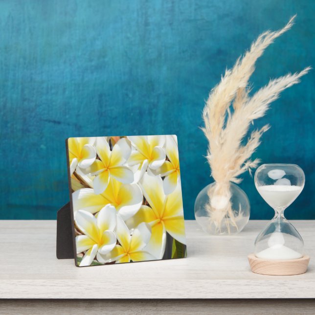 Placa Expositora Frangipani amarillo blanco Bouquet (in situ)