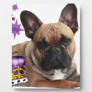 Placa Expositora Französische Bulldogge Schautafel