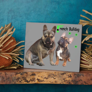 Placa Expositora Französische Bulldoggen