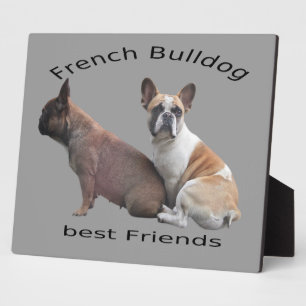 Placa Expositora Französische Bulldoggen Fotoplatte