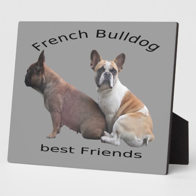 Placa Expositora Französische Bulldoggen Fotoplatte (Lado)