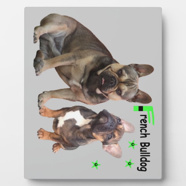 Placa Expositora Französische Bulldoggen Fotoplatte (Frente)