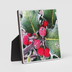 Placa Expositora Frosty Holly