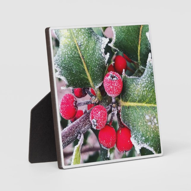 Placa Expositora Frosty Holly (Anverso)