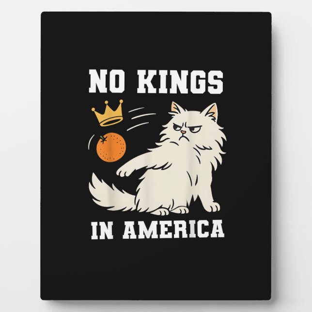 Placa Expositora Funny No Kings in America Retro Classic Style (Frente)
