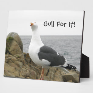 Placa Expositora Funny Seagull Personalizado