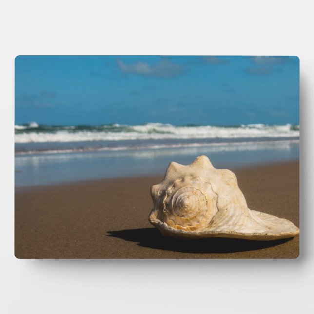 Placa Expositora Future Beach (Frente)