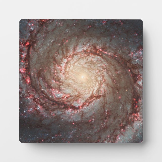 Placa Expositora Galaxia Remolino (Frente)