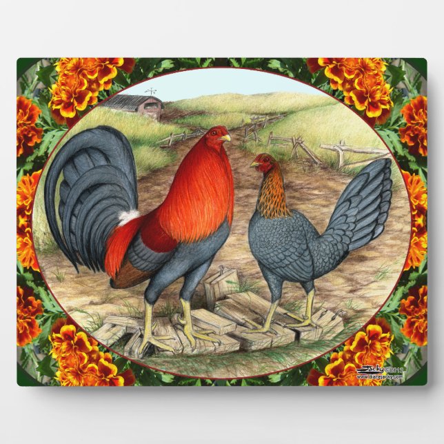 Placa Expositora Gallinas de Juego Hermosas (Frente)