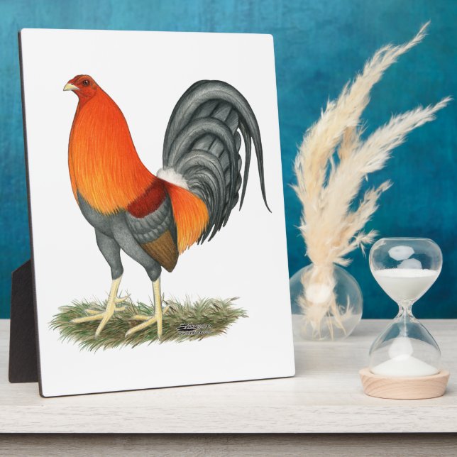 Placa Expositora Gallo Azul Rojo Gamecock (Lado)