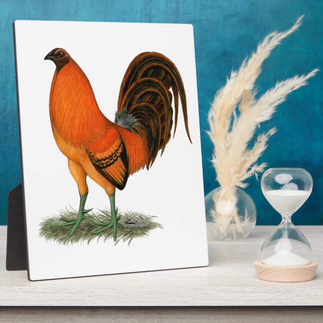 Placa Expositora Gallo Ginger Rojo Gamecock (Lado)