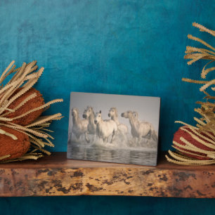 Placa Expositora Gallopaje de caballos en el agua del Mediterráneo