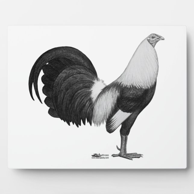 Placa Expositora Gamecock Gray Ducking (Frente)
