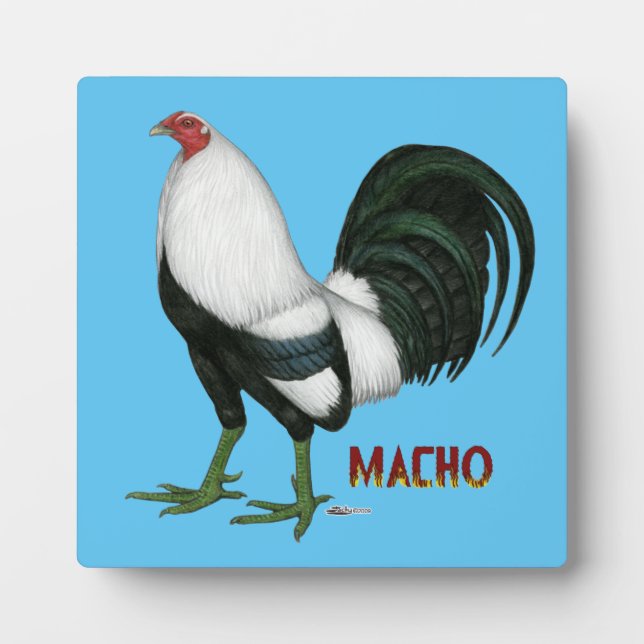 Placa Expositora Gamecock Macho Duckwing (Frente)