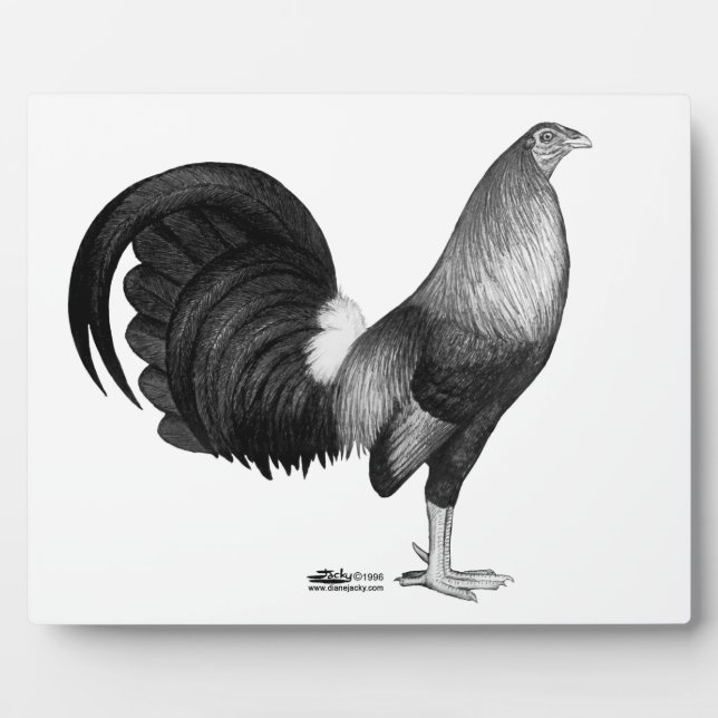 Placa Expositora Gamecock Red Hatch (Frente)