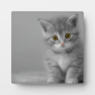 Placa Expositora Gatito dulce