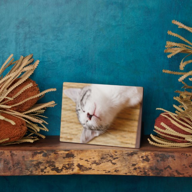 Placa Expositora Gatito durmiente (Lado)