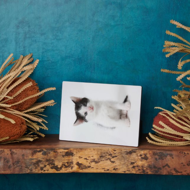 Placa Expositora Gatito negro (Lado)