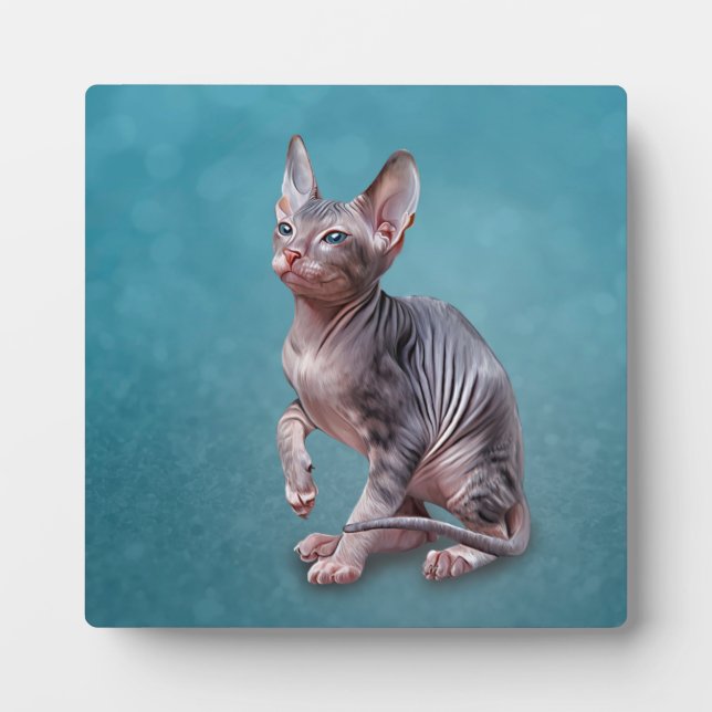 Placa Expositora Gatito Sphynx de dibujo (Frente)