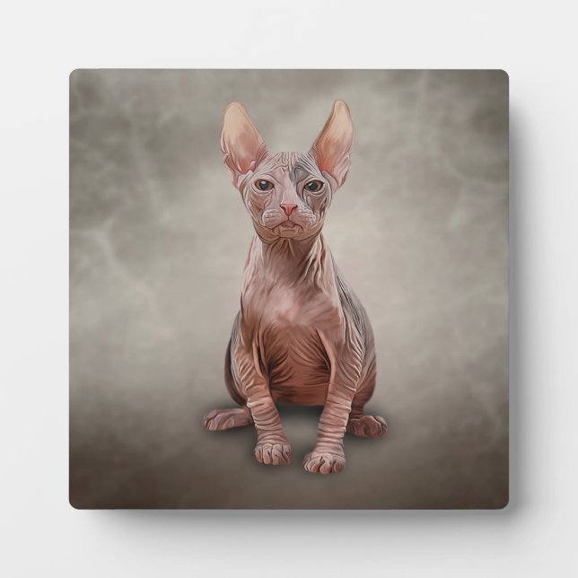 Placa Expositora Gatito Sphynx de dibujo (Frente)