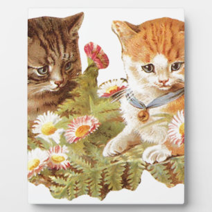 Placa Expositora Gatitos