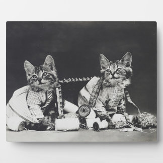Placa Expositora Gatitos traviesos 1914