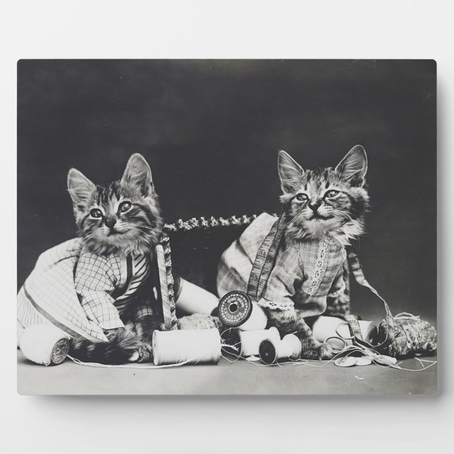 Placa Expositora Gatitos traviesos 1914 (Frente)