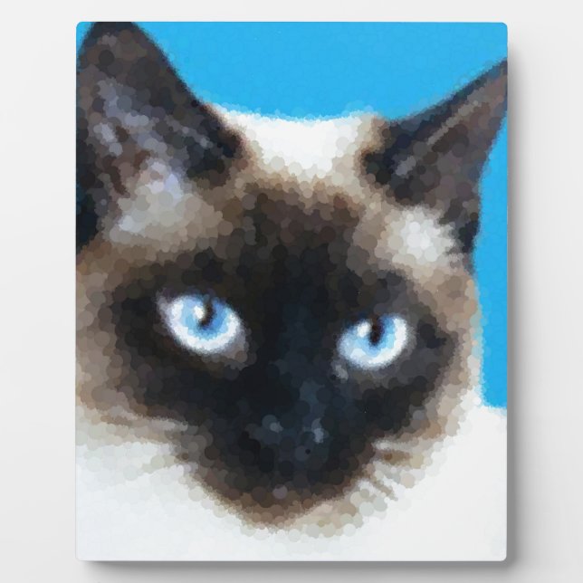 Placa Expositora Gato 1 (Frente)