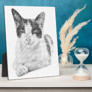 Placa Expositora Gato Calico Retro Mediotono