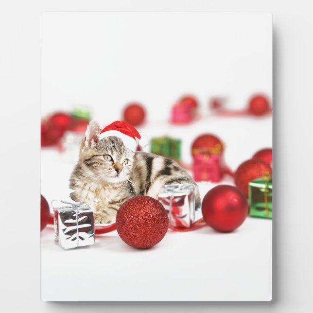 Placa Expositora Gato con sombrero rojo de Papá Noel Ornamento de N (Frente)