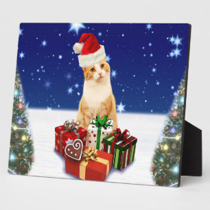 Placa Expositora Gato de Santa Claus con regalo de Navidades