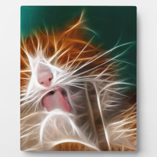 Placa Expositora gato gatito gatitos lindo mascota ronroneo miau