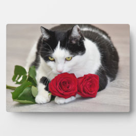 Placa Expositora Gato lindo con la rosa roja