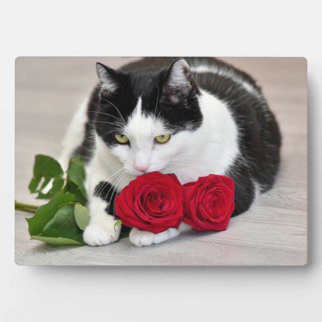 Placa Expositora Gato lindo con la rosa roja (Frente)