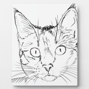 Placa Expositora Gato mimoso