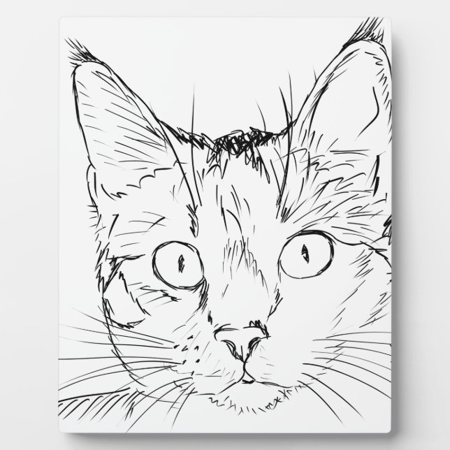 Placa Expositora Gato mimoso (Frente)