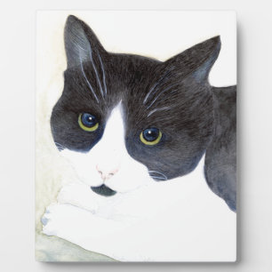Placa Expositora Gato negro y blanco
