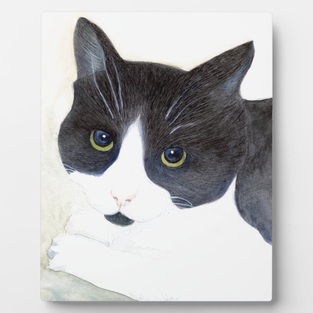 Placa Expositora Gato negro y blanco (Frente)