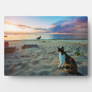 Placa Expositora Gato Sentado En Una Playa