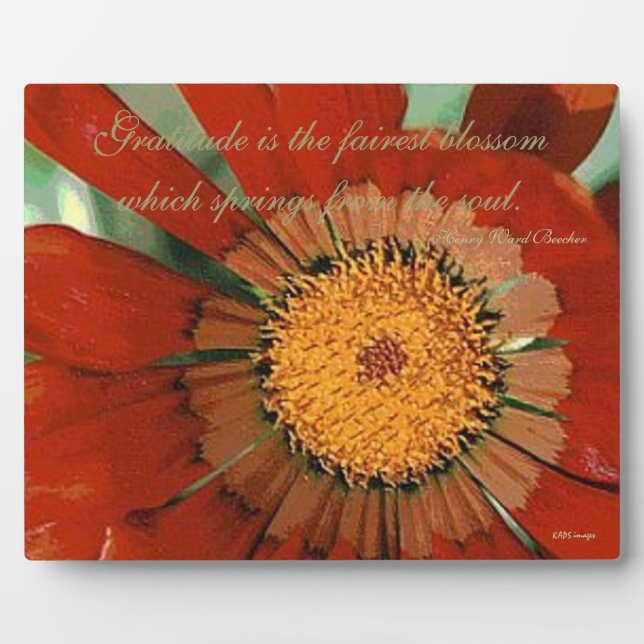 Placa Expositora Gazania Gratitud (Frente)