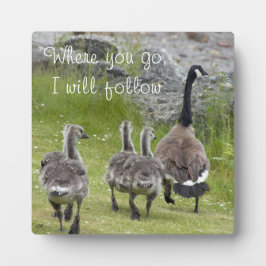 Placa Expositora Génesis de Baby Canada con una cita fotográfica