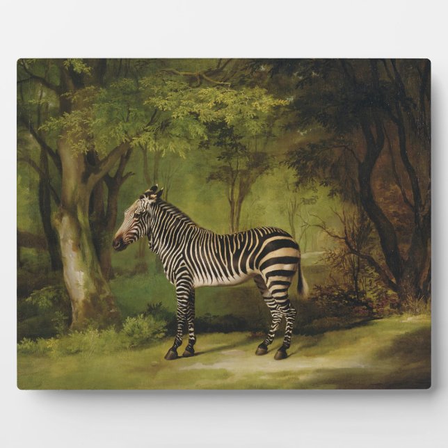 Placa Expositora George Stubbs | A Zebra, 1763 (aceite sobre lienzo (Frente)